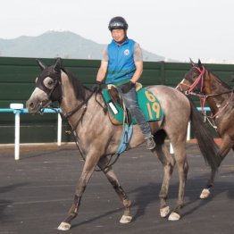 【木津の土曜競馬コラム・札幌５Ｒ】