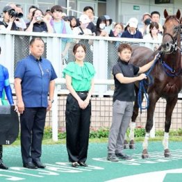 【橘の土曜競馬コラム・朱鷺Ｓ】