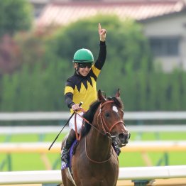 【藤岡の日曜競馬コラム・キーンランドC】