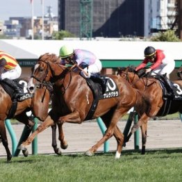 【市川の日曜競馬コラム・キーンランドＣ】