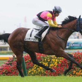 【大谷の日曜競馬コラム・新潟２歳Ｓ】