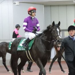【橘の日曜競馬コラム・キーンランドＣ】