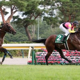 【新潟２歳Ｓ】１番人気レッチュベルクが押し切りＶ