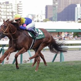【キーンランドＣ】サウンドモリアーナが横綱相撲で初タイトル
