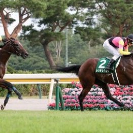 【新潟２歳Ｓ】低調なメンバーの中でキラリと光るレッチュベルクの高い素質