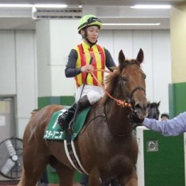 【中京２歳Ｓ】中京は今年で２回目