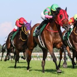 【新潟記念】ＧⅠ馬が５頭もエントリー