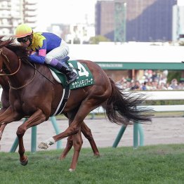 先週は東西のレジェンド２人が大活躍