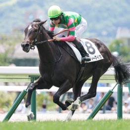 【中京２歳Ｓ】ジーティーマイカでＪＲＡ初の女性トレーナー重賞Ｖを狙う前川恭子調教師