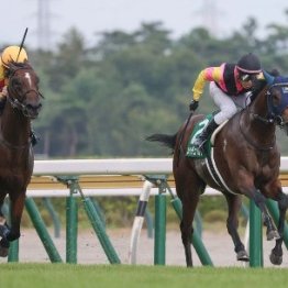 ピューロマジックがいるいないでレースは変わる