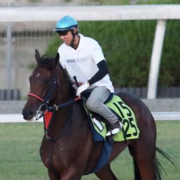 【中京２歳Ｓ】ビスケットサンド２連勝へ