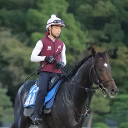 【新潟記念】ダノンシーマ初重賞取り