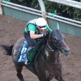 【新潟記念】調教マル得チェック②