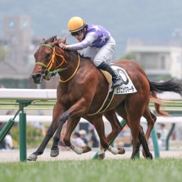 【すずらん賞】ピクニックマーチここで２勝目を目指す