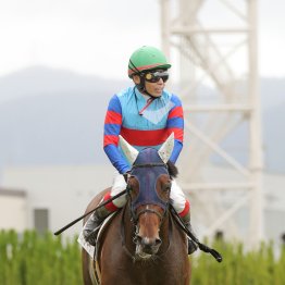 【藤岡の土曜競馬コラム・清洲特別】