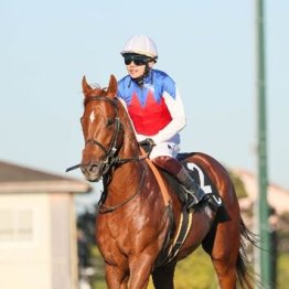【市川の土曜競馬コラム・ＢＳＮ賞】