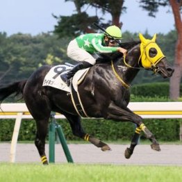 【飯島の土曜競馬コラム・新潟10Ｒ】