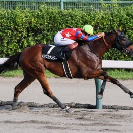 【大谷の土曜競馬コラム・ＢＳＮ賞】