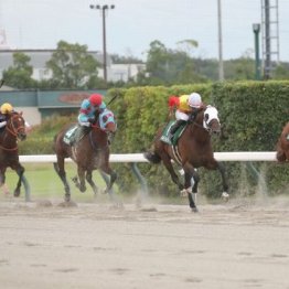 【橘の土曜競馬コラム・ＢＳＮ賞】