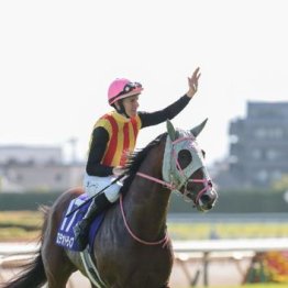 【市川の日曜競馬コラム・新潟記念】