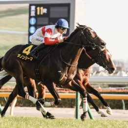 【大谷の日曜競馬コラム・新潟記念】