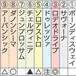 【注目重賞／追い切りで買う・新潟記念】