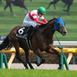 【札幌本紙・新居の日曜札幌11Ｒ】