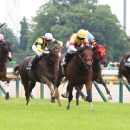 【東京本紙・外山の日曜新潟７Ｒ】