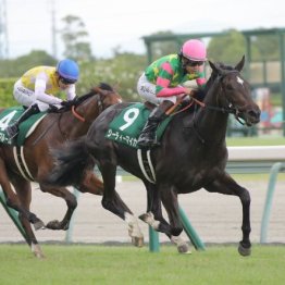 【中京２歳Ｓ】ジーティーマイカが人気に応える快勝