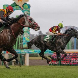 【新潟記念】ゾロアストロが重賞２勝目、②着ロデオドライブで３歳馬のワン・ツー