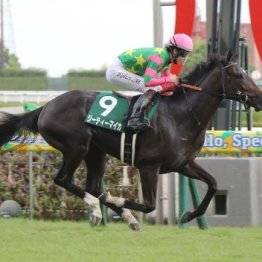 【中京２歳Ｓ】女性調教師初の重賞Ｖ　ジーティーマイカを導いた前川師の手腕