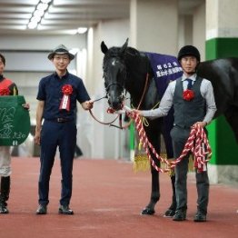 【新潟記念】レース後の談話（ネットオリジナルを含む）