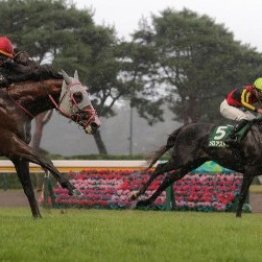 【新潟記念】秋ＧⅠへ収穫の３歳馬ワン・ツー