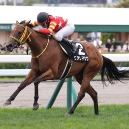 今年の北海道シリーズでは２人の女性ジョッキーが大きく飛躍