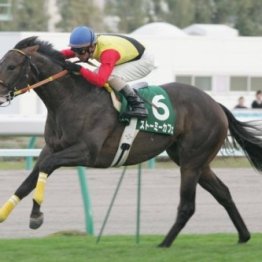 今年の北海道シリーズでは２人の女性ジョッキーが大きく飛躍