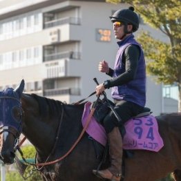 【紫苑Ｓ】ドリームコア注目の秋初戦