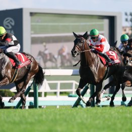 【紫苑Ｓ】データ作戦　１～５番人気２頭＆伏兵１頭が狙い目
