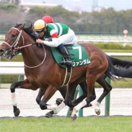 【市川の土曜競馬コラム・京成杯オータムＨ】