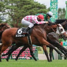 【橘の土曜競馬コラム・京成杯オータムＨ】