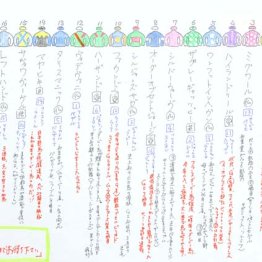 「馬名と勝負服をインプットするには塗り絵が基本です」