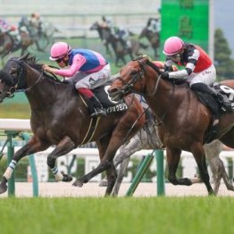 【飯島の日曜競馬コラム・セントウルＳ】