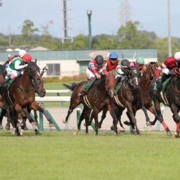 【橘の日曜競馬コラム・セントウルＳ】