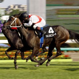 ２００７年紫苑Ｓ勝利アルコセニョーラ