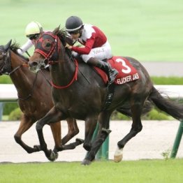 【セントウルＳ】フリッカージャブが重賞連勝　シリーズチャンピオンはピューロマジック