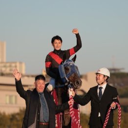 【コリアスプリント／コリアカップ】どちらも日本馬の一騎打ちで、ディクテオンは連覇を達成