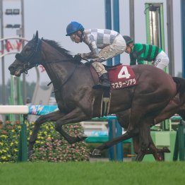 フリッカージャブ　価値ある阪神での重賞制覇