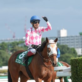 フリッカージャブ　価値ある阪神での重賞制覇