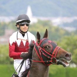 フリッカージャブ　価値ある阪神での重賞制覇