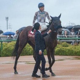 【紫苑Ｓ】レース後の談話（ネットオリジナルを含む）