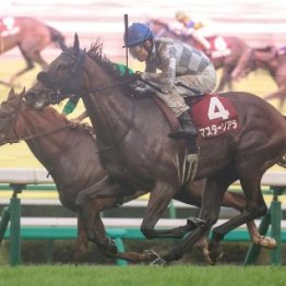 【紫苑Ｓ】まだキャリア３戦目マスターソアラは上積みしかない